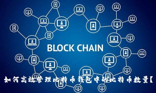 如何高效管理比特币钱包中的比特币数量？