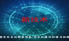 探索无主比特币钱包：你