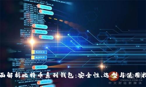 全面解析比特币系列钱包：安全性、选型与使用指南