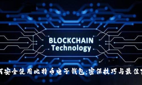 如何安全使用比特币电子钱包：密保技巧与最佳实践