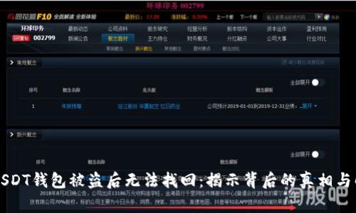为什么USDT钱包被盗后无法找回：揭示背后的真相与解决方案