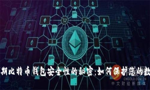 揭开早期比特币钱包安全性的秘密：如何保护您的数字资产