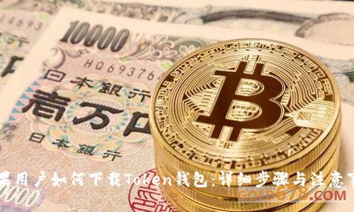 苹果用户如何下载Token钱包：详细步骤与注意事项