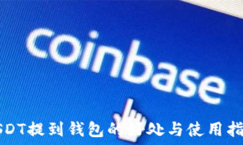  
USDT提到钱包的好处与使用指南