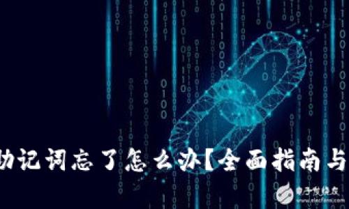 t p钱包助记词忘了怎么办？全面指南与解决方案