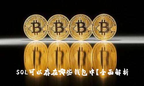 SOL可以存在哪些钱包中？全面解析
