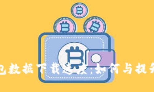 比特币钱包数据下载速度：如何与提升用户体验