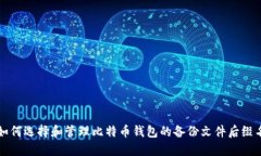 如何选择和管理比特币钱包的备份文件后缀名